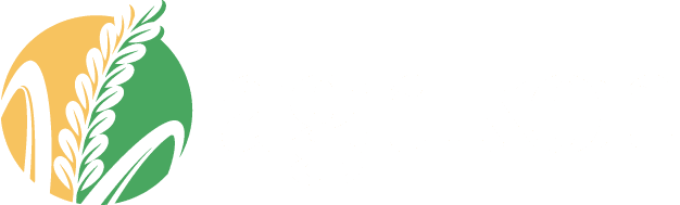 Sâm Ngọc Linh Rừng